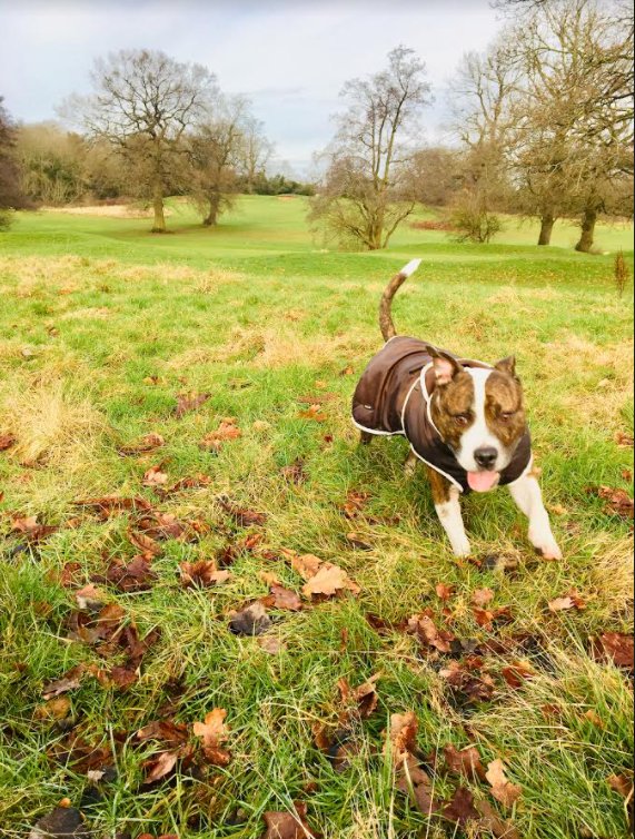More Than A Walk - Photo 2