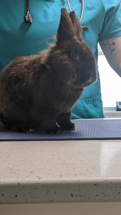 Avian & Exotic Animal Clinic