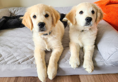 Suburban K9 Dog Training