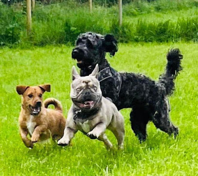 Barking Tails - Pet Shop in Birmingham