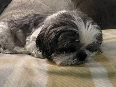 Little Paws Lichfield