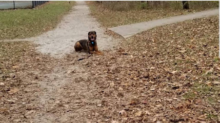 Maggie's Foundation: Pet Training