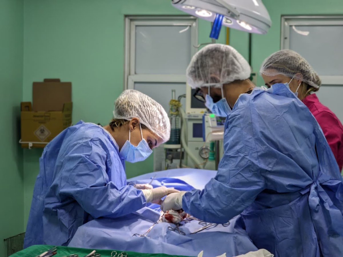 Veterinária Extraordivet