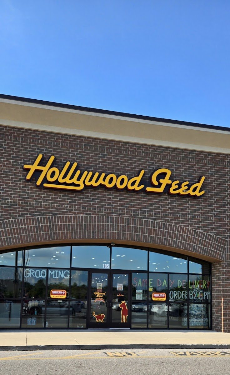 Hollywood Feed - Photo 2