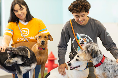 Dogtopia of Meridian North