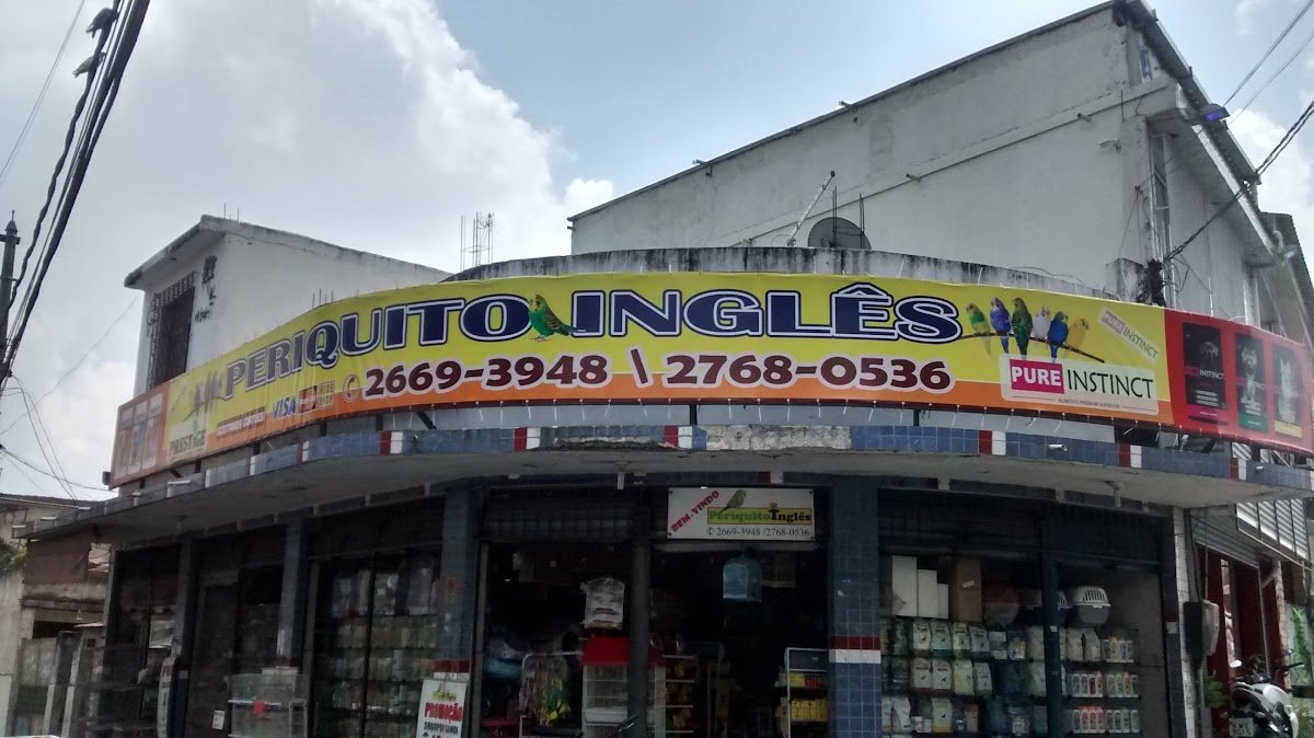 Periquito Inglês Pet Shop