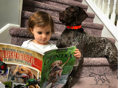 Faith In the Point Bird Dogs