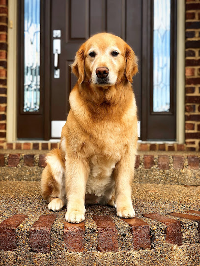 Comfort Zone Sitters, LLC