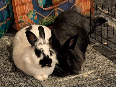 Indiana House Rabbit Society