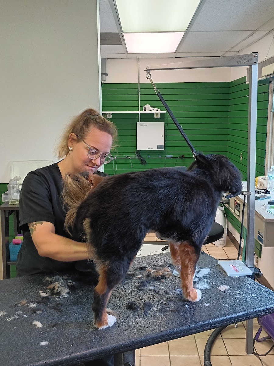 The Crafted Canine - Photo 2