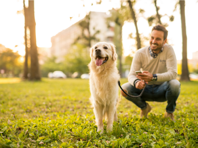 Fetch! Pet Care North Indy