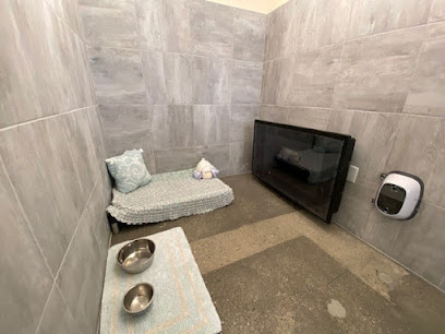 Best Friends Pet Hotel