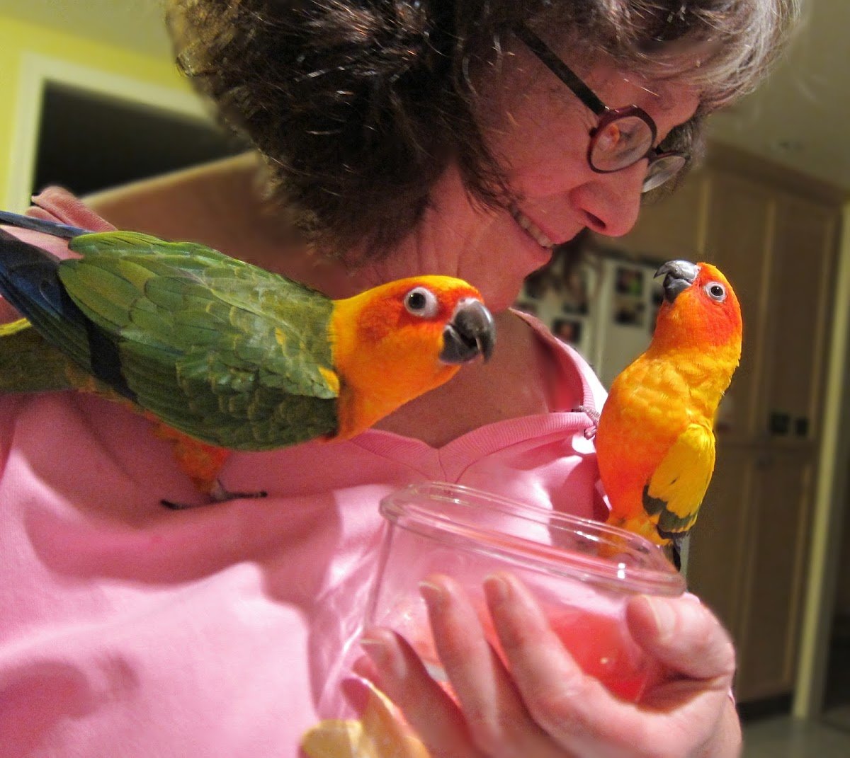 Pampered Parrot Behavior Coaching and Boarding - Photo 2