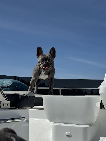 Heart of Chelsea Veterinary Group - Ballard