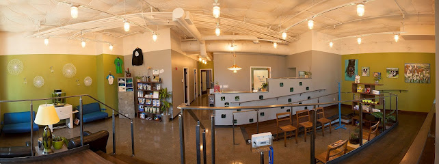 Jet City Animal Clinic