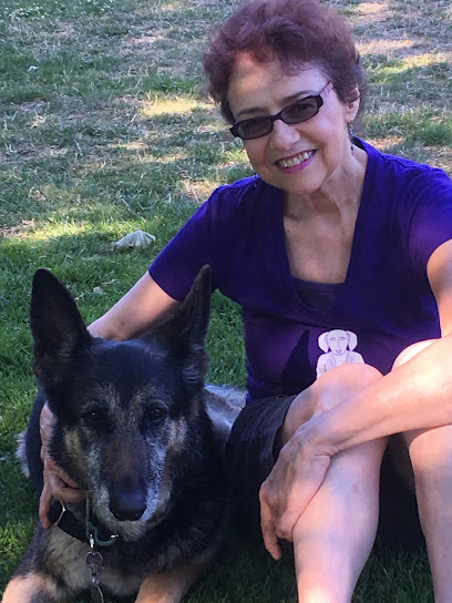 Cold Noses Dog Training