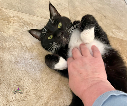 Whiskers At Home L.L.C.