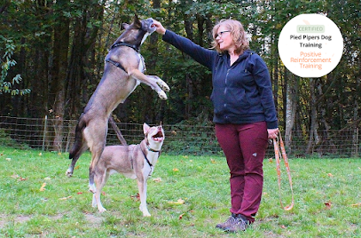 Pied Piper's Dog Training Kitsap County