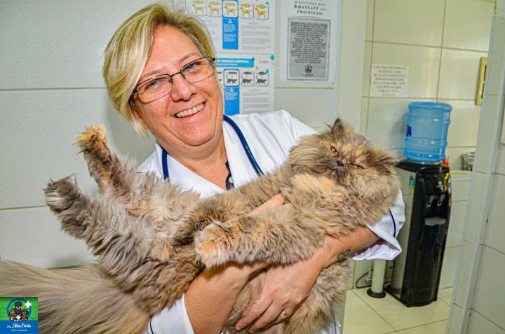Consultório Veterinário Dra Aline Porto