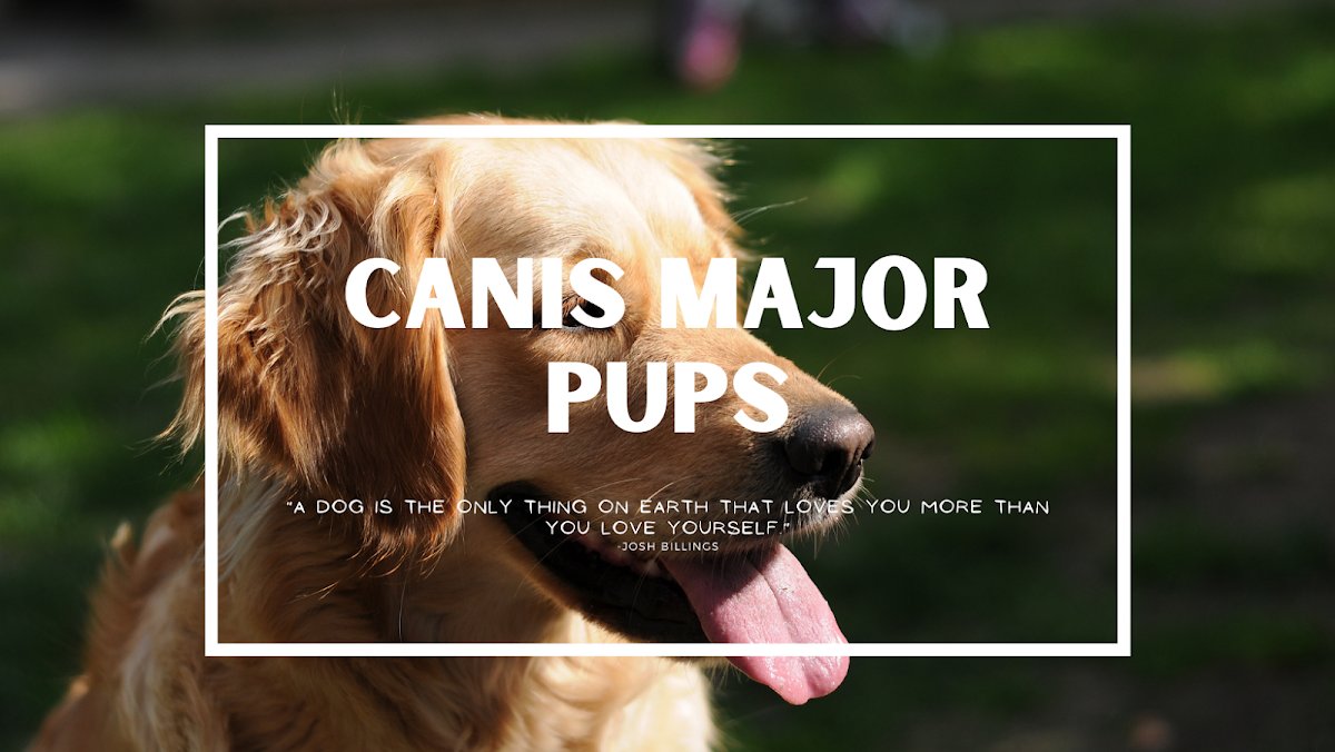 Canis Major, LLC - Photo 2