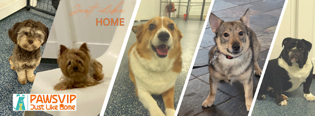 PawsVIP - West Seattle