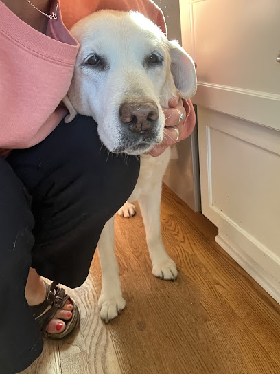 Compassionate Care - Pet Boarding & House Sitting Services