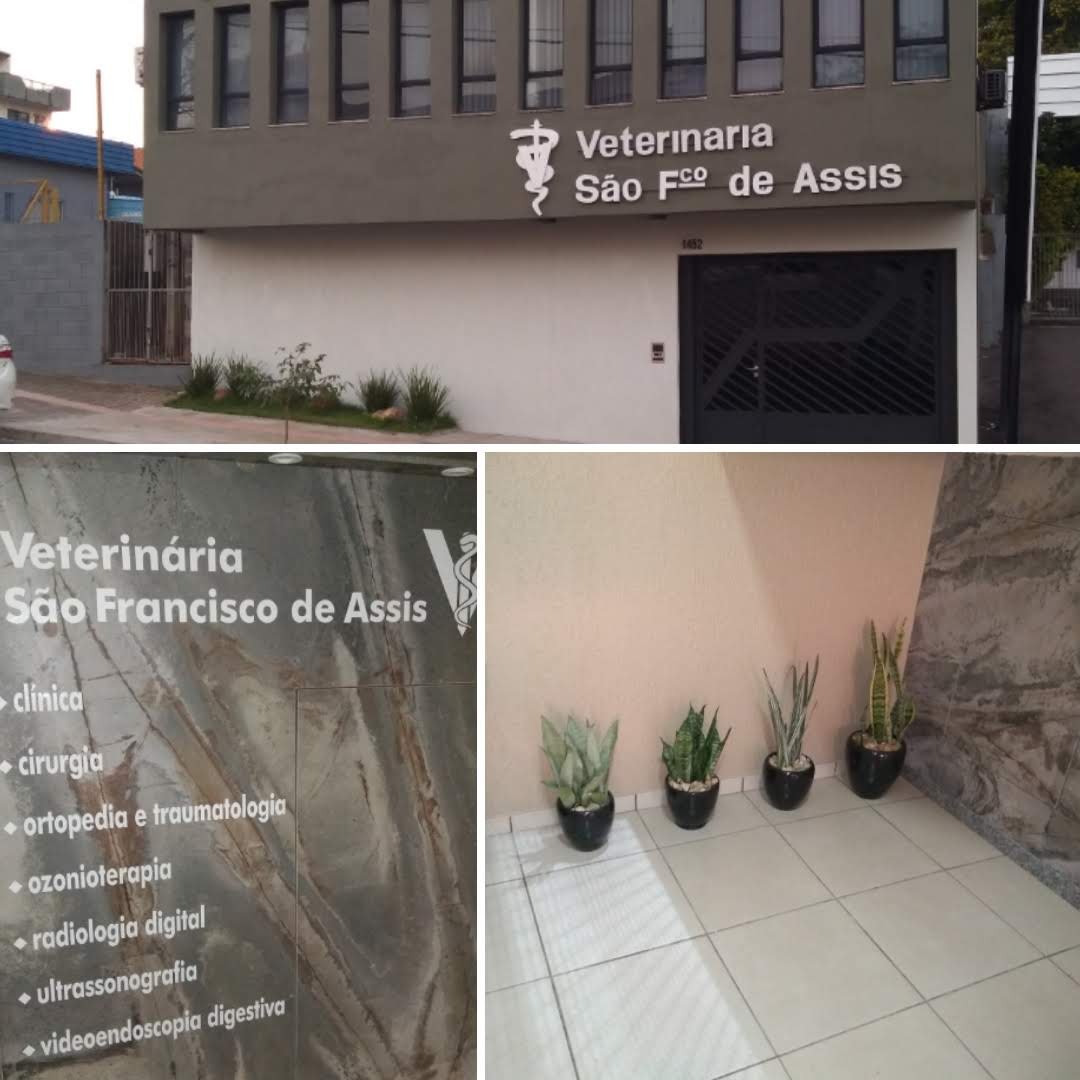 Veterinary Clinic St. Francisco de Assis