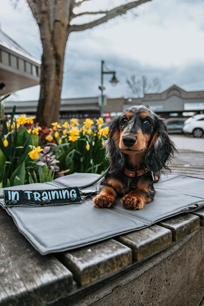 Love Liparu - Pet Shop in Seattle