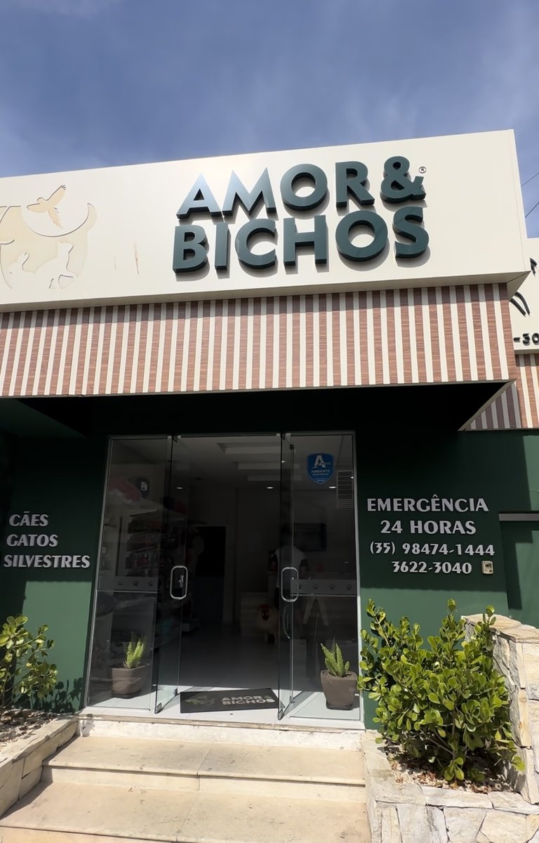 Amor & Bichos
