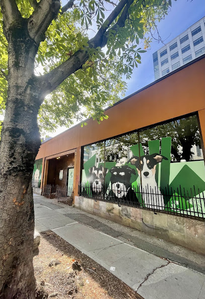 Seattle Canine Club - South Lake Union