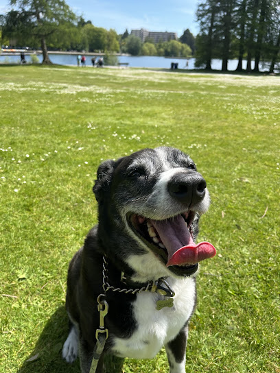 Emerald City Pet Rescue