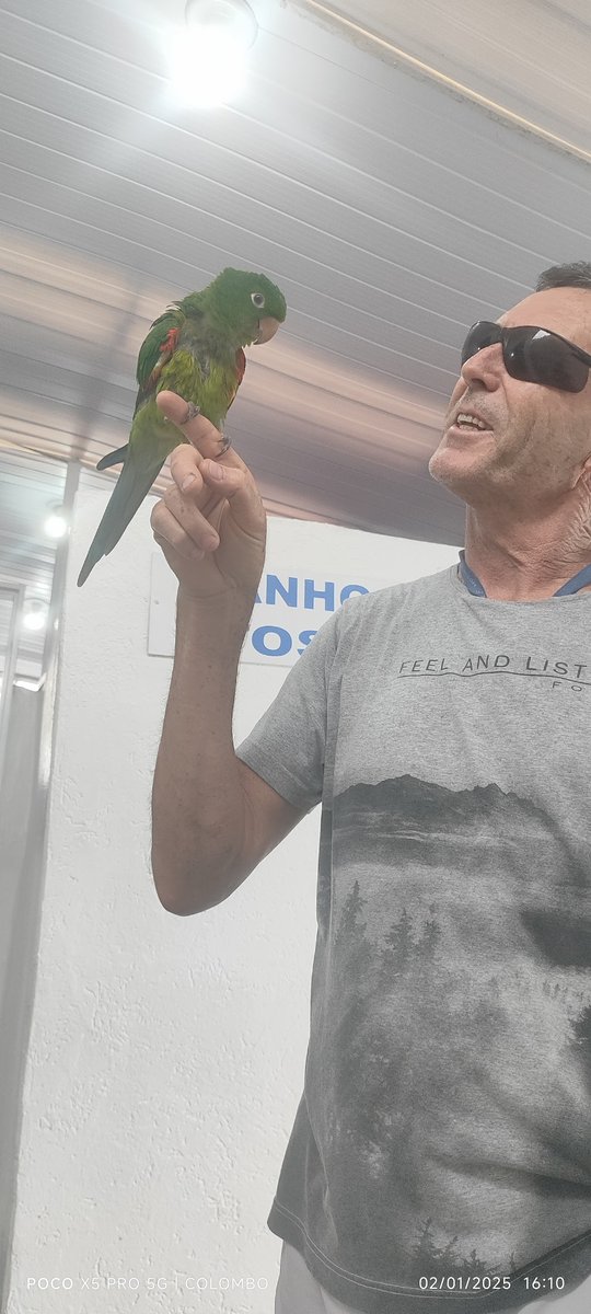 Clínica Veterinária Dr Darcy Vilhena Borges