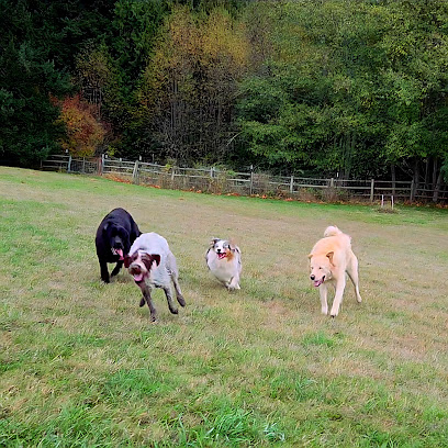 Paws In The Pasture Boarding And Play LLC