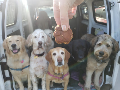 Homeward Hound Seattle