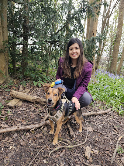 Kind Pet Club - Dog Walker and Pet Sitter New Malden, Kingston, Worcester Park and Surrounding areas - Pet Shop in London