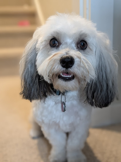 Bark In Style - Pet Shop in Seattle