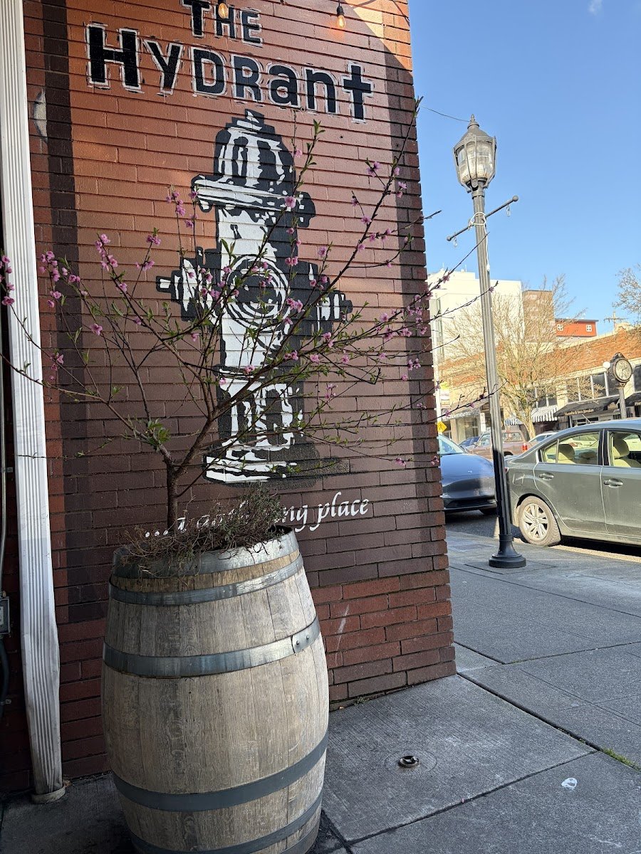 The Hydrant - Photo 2