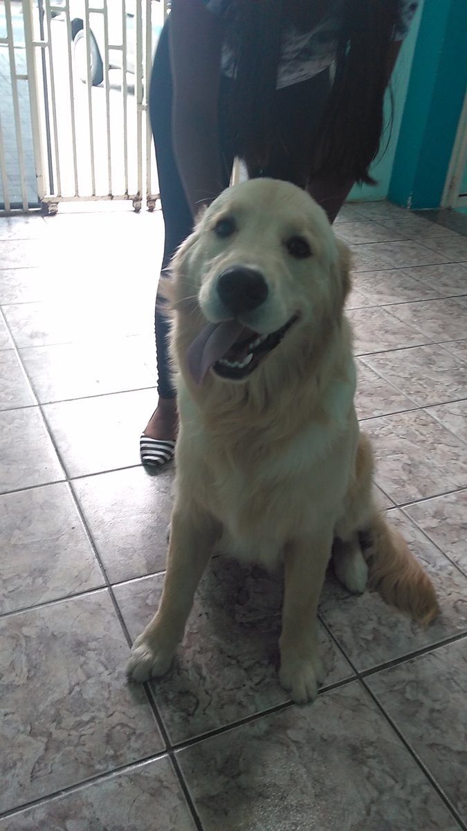 Centro Médico Veterinário Mauá