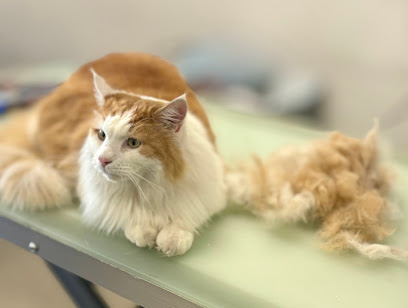 Purrrfectly Pampered - Pet Shop in London