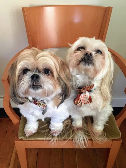 Lady Di Pet Chaperone