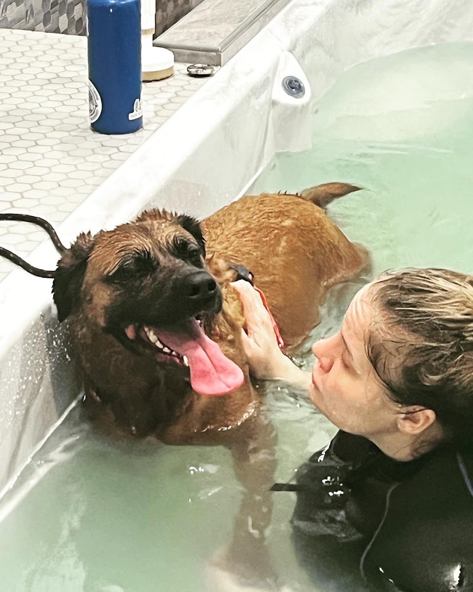 Waterdog Spa - Photo 2