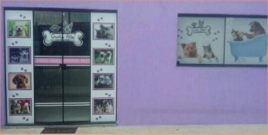 Caras & Pathas Pet Shop - Pet Shop em Taubaté