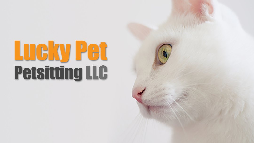 Lucky Pet Petsitting LLC - Photo 2