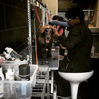 Barking Betty - Pet Shop in London