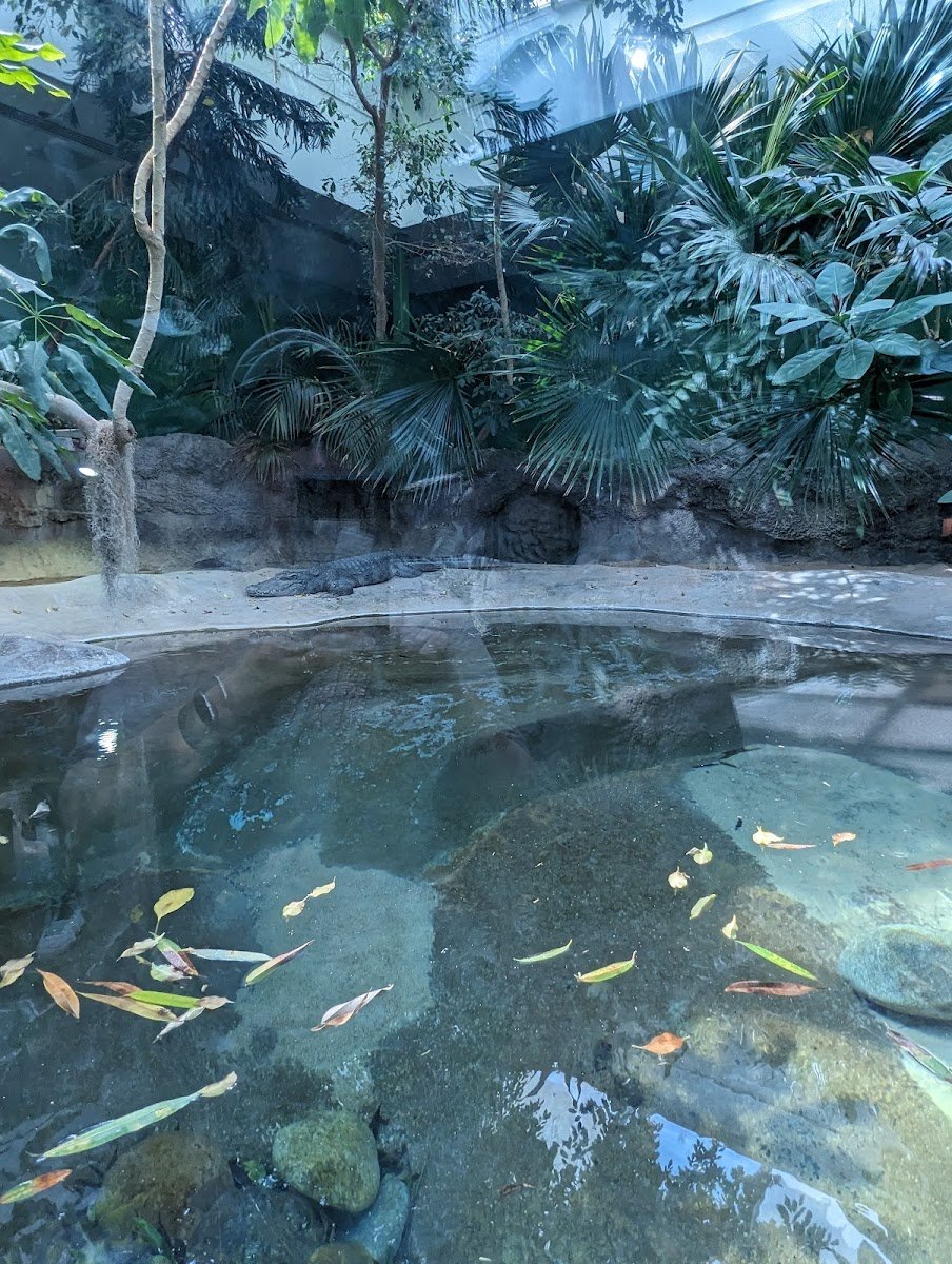 Denver Zoo - Photo 3