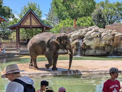Denver Zoo