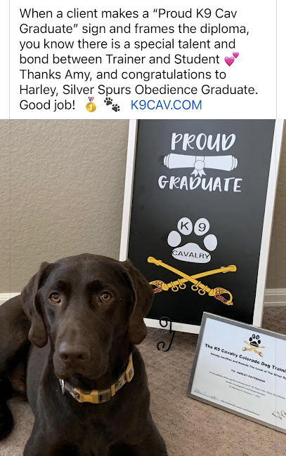 The K9 Cavalry Colorado Dog Training LLC