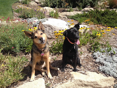 All Ears Dog & Puppy Training