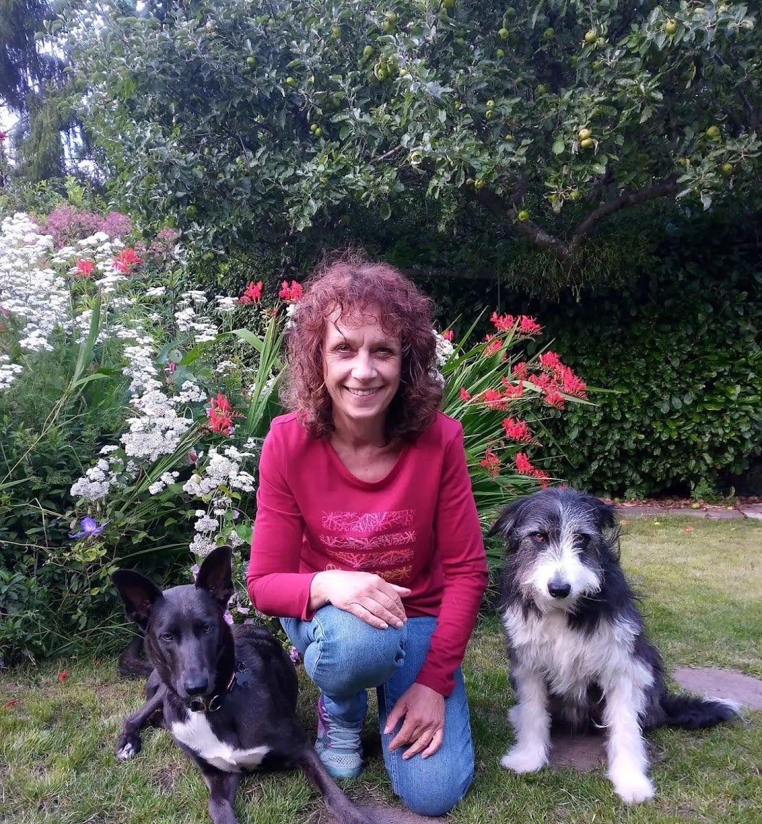 Happy Mutts Dog Training - Photo 2