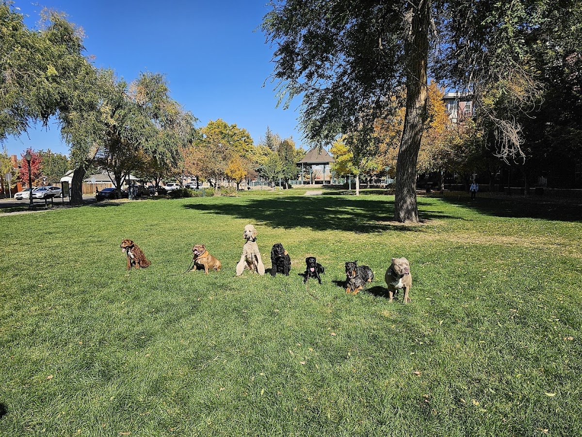 Diamond Dog Academy - Photo 2